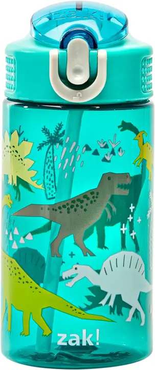 16oz Kids Leak-Proof Straw Water Bottle — Dinosaur Theme