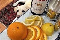 The Ultimate Summer Pimm’s Cup