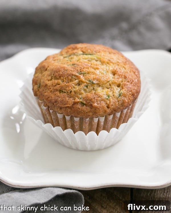A single Cinnamon Zucchini Muffin presented on a pristine white plate, nestled in a double white paper muffin wrapper.