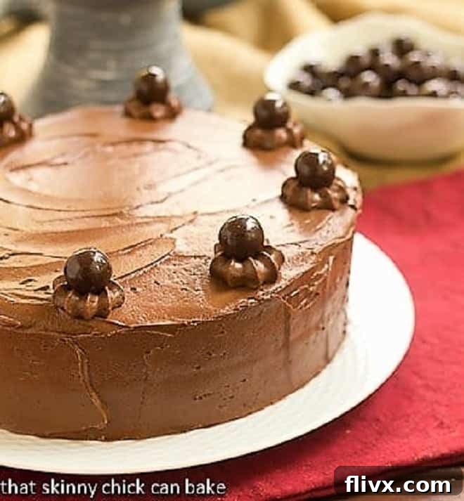 Chocolate Layer Cake on a white cake plate