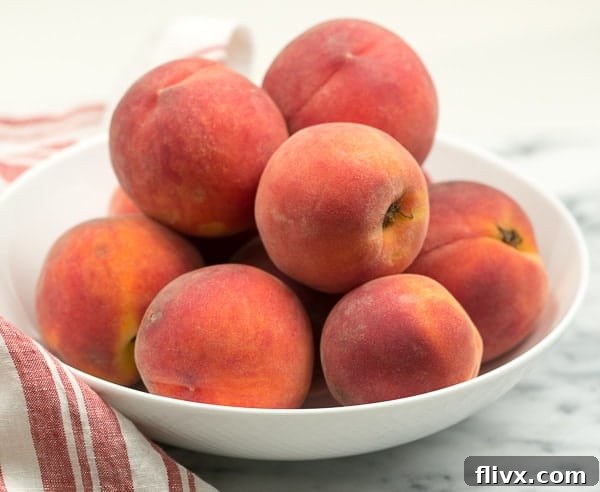 A pristine white bowl overflowing with vibrant red haven peaches, illustrating the beauty of fresh, ripe fruit.