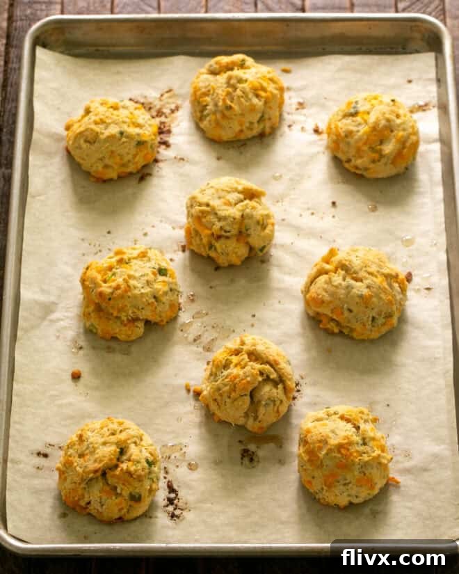 A batch of freshly baked, golden-brown cheddar biscuits cooling on a baking sheet, ready to be served.