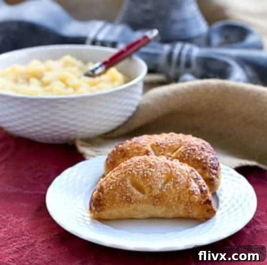 Compote de Pommes or French Applesauce recipe hero image