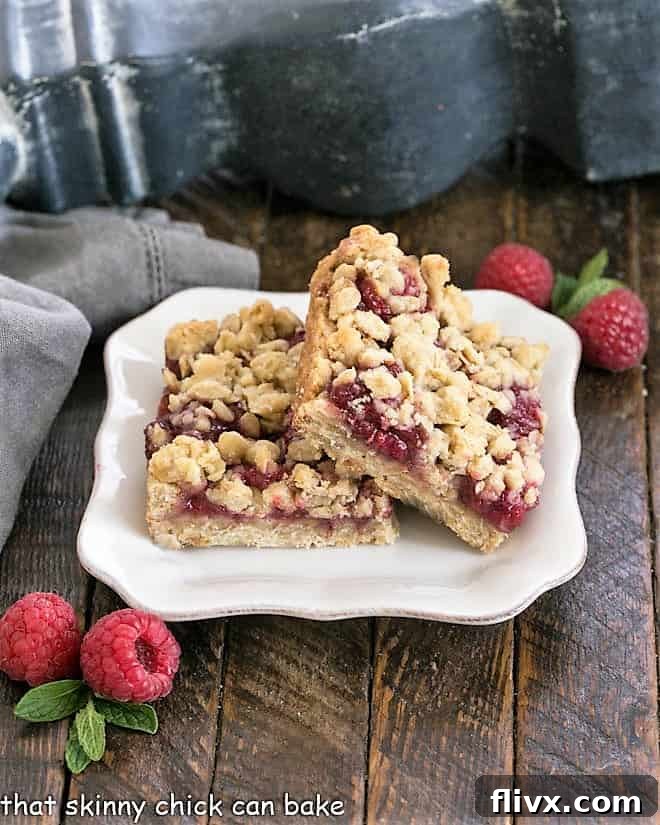 Two beautifully arranged Raspberry Oatmeal Bars on a pristine white dessert plate, highlighting their delightful texture.