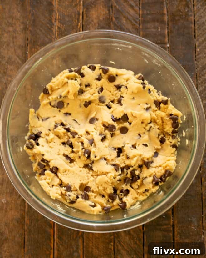 Finished chocolate chip cookie dough after chocolate chips have been mixed in.