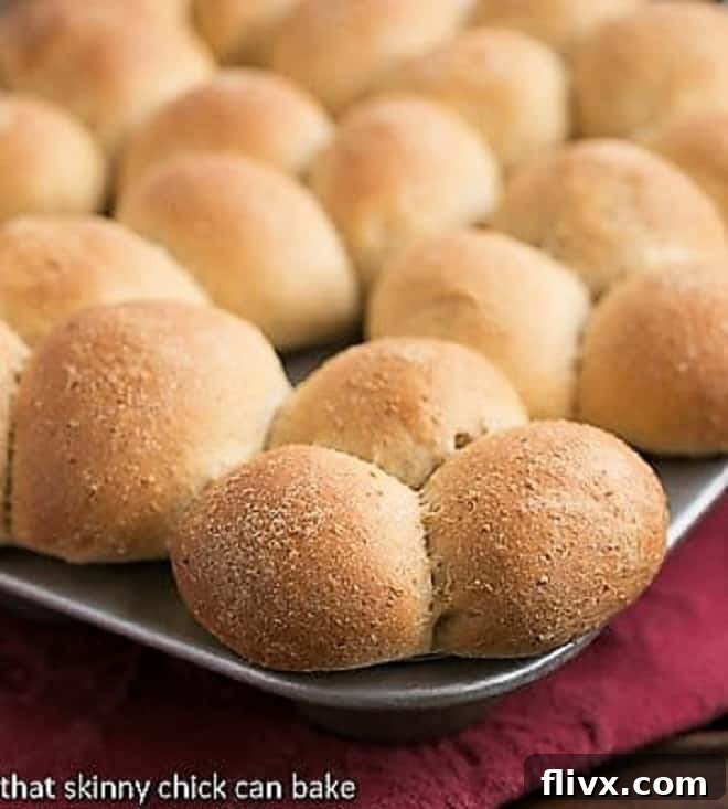 A muffin tin filled with perfectly risen Honey Whole Wheat Cloverleaf rolls, showcasing their signature three-lobed shape and golden-brown tops, ready for enjoyment.
