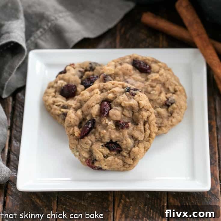 Three golden-brown oatmeal craisin cookies on a pristine white ceramic plate, ready to be enjoyed.