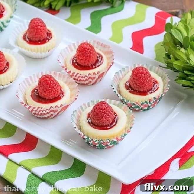 Mini Mascarpone Cheesecakes on a white ceramic tray, garnished with fresh raspberries.