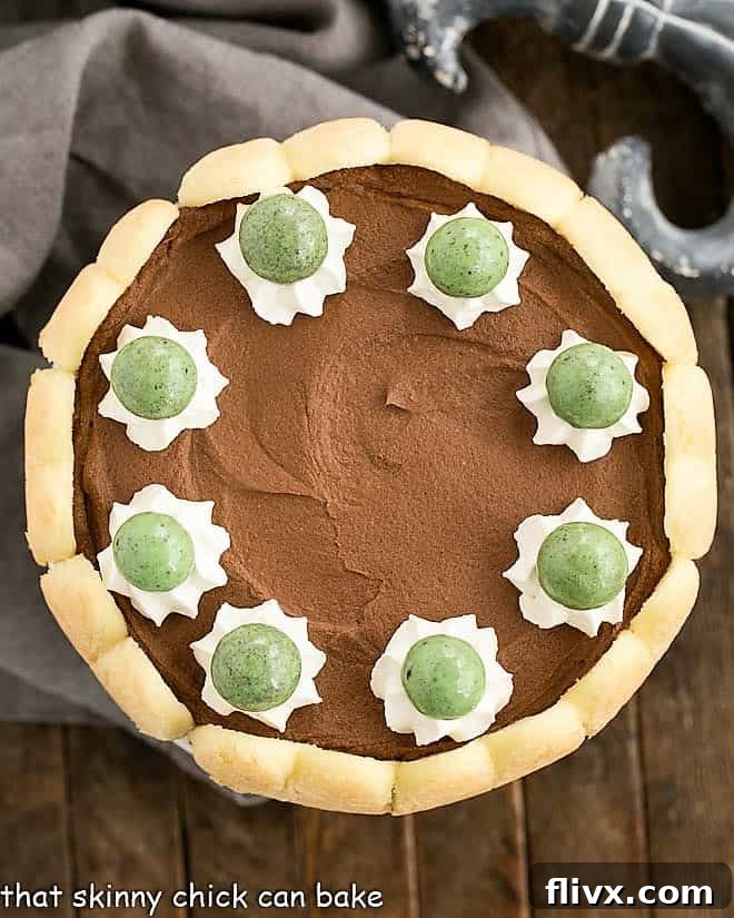Overhead view of a prepared Irish Chocolate Mousse Cake with a smooth, dark chocolate top.