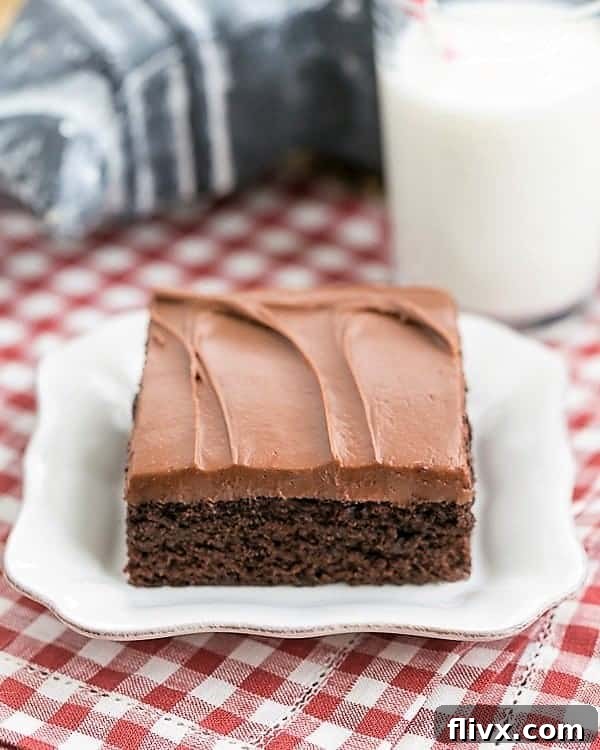 A delectable slice of Cocoa Fudge Cake on a square white plate, accompanied by a refreshing glass of milk, inviting you to indulge in its rich flavor.