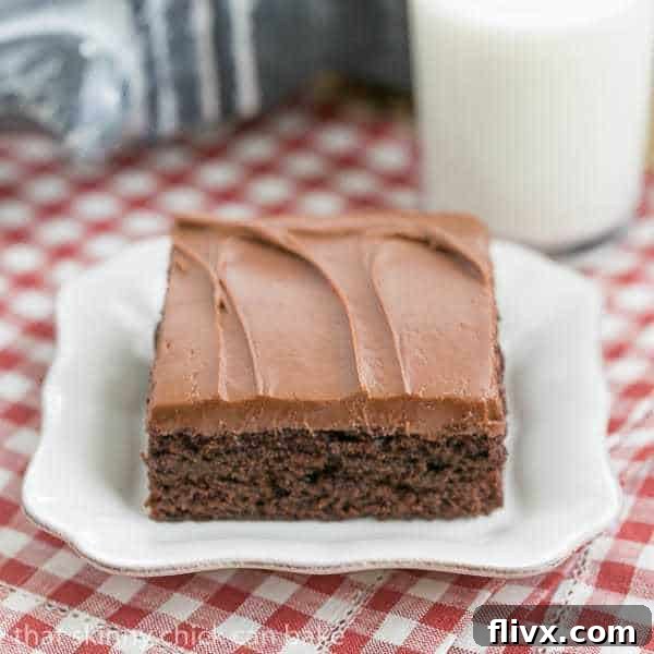 Cocoa Fudge Cake | Easy and outrageously delicious!