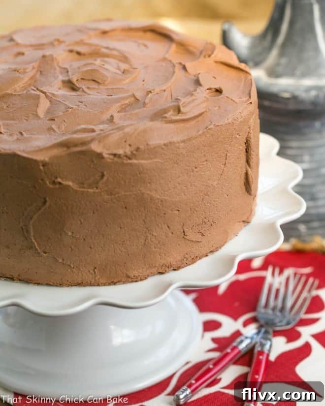 Close-up of the Tunnel of Mousse Cake showing the elegant design and creamy chocolate mousse filling.