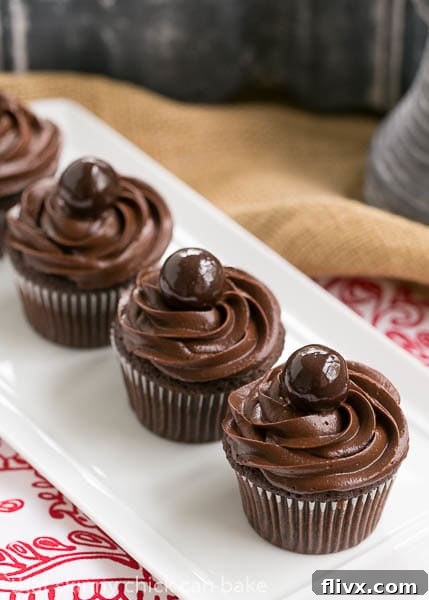 Perfect Chocolate Cupcakes - Terrific chocolate cupcakes with a swirl of decadent chocolate buttercream