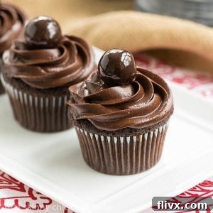 Perfect Chocolate Cupcakes Recipe
