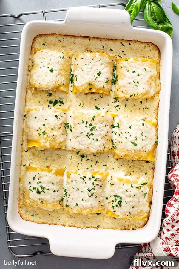 Chicken Alfredo Lasagna Rolls