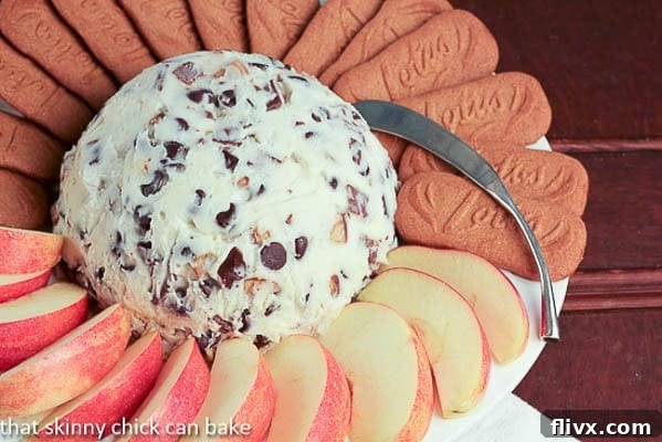 A white plate holding Chocolate Chip Cookie Dough Dip, artfully arranged with crisp apple slices and various cookies for dipping.