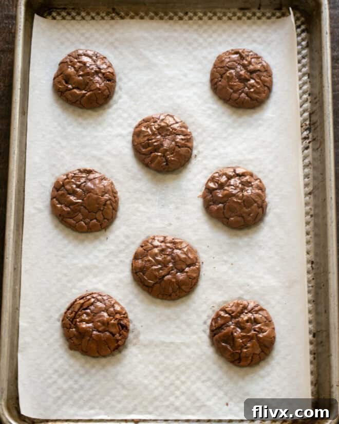 Freshly baked chocolate brownie cookies cooling on a baking sheet after being removed from the oven.
