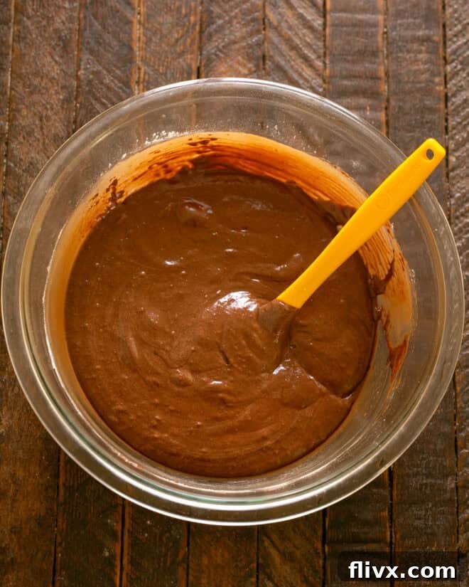 The dry ingredients, now sifted, being carefully folded into the wet batter until just combined.