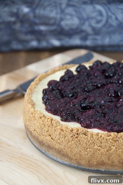 Rich New York-Style Blueberry Cheesecake with a graham cracker crust and fresh blueberry topping.