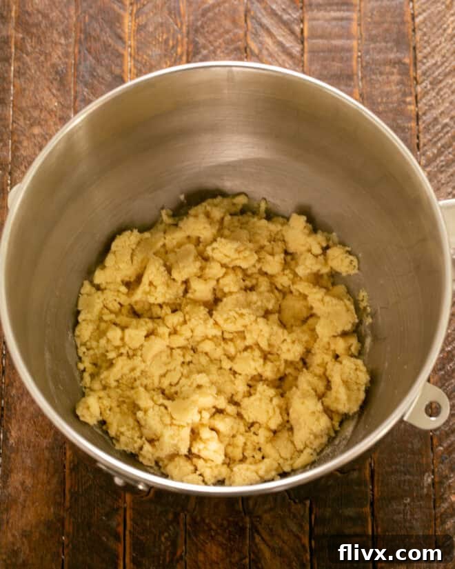 Step 2: Mixing in flour and salt into the sugar cookie dough.