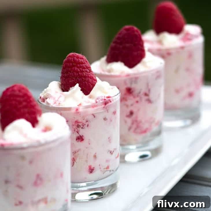 Raspberry Shooters Recipe, a lighter dessert that's incredibly delicious!