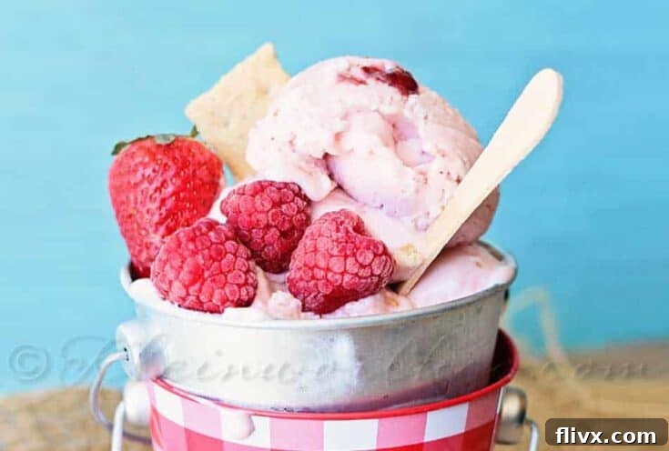 Double Berry Cheesecake Frozen Yogurt is the perfect way to keep cool as the days get hotter!
