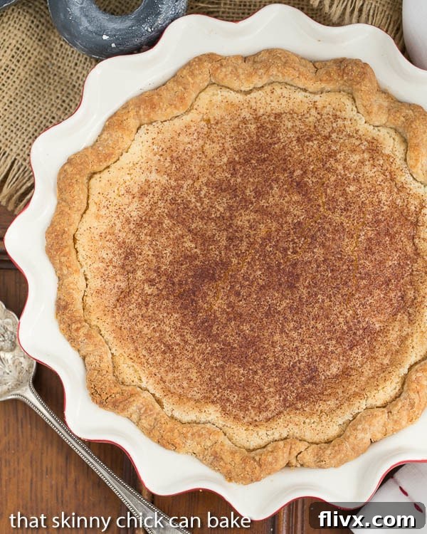 A beautiful, golden-brown Hoosier Sugar Cream Pie, presented in an antique red and white ceramic pie plate, photographed from an overhead angle.