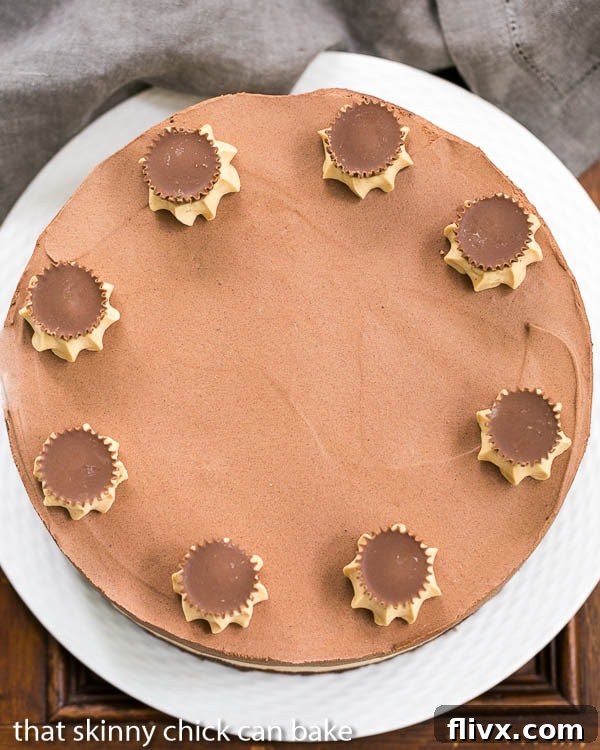 An inviting overhead view of the Peanut Butter Chocolate Mousse Cake displayed on an elegant white serving plate, showcasing its flawless top layer, artful garnish, and the inviting textures of the mousse.