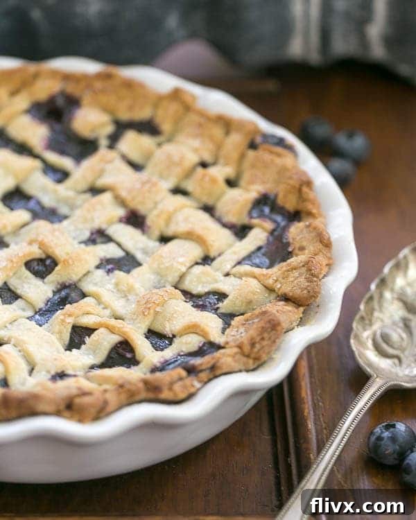 A glorious, golden-brown Freeze and Bake Blueberry Pie, fresh from the oven, with a bubbling filling peeking through the lattice crust, ready to be enjoyed.