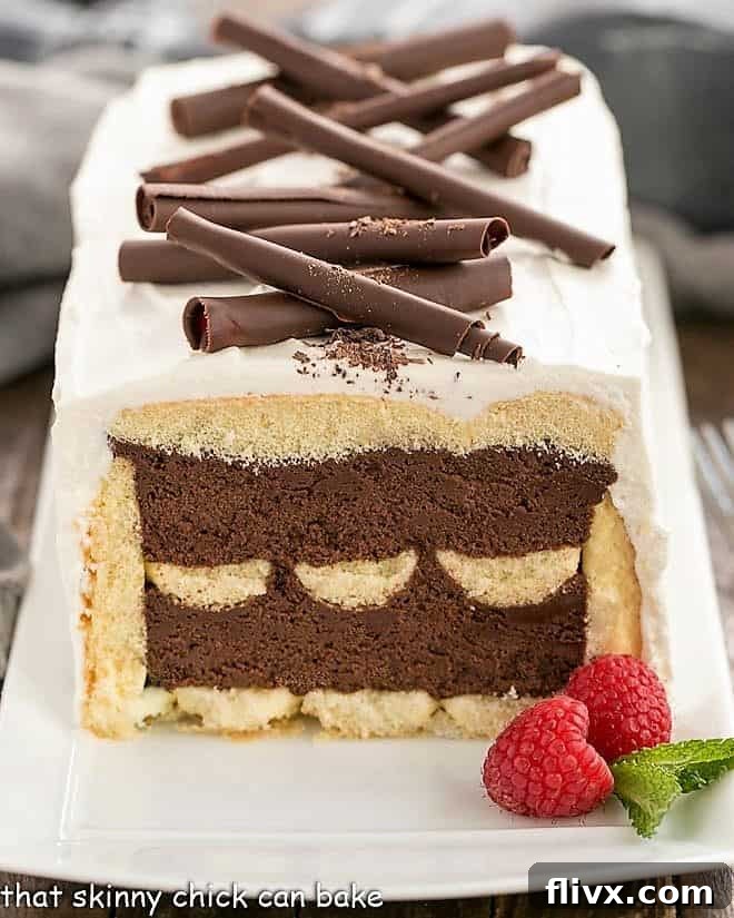 Front view of a slice removed from the layered No-Bake Chocolate Mousse Cake with Ladyfingers, showing the beautiful internal structure.