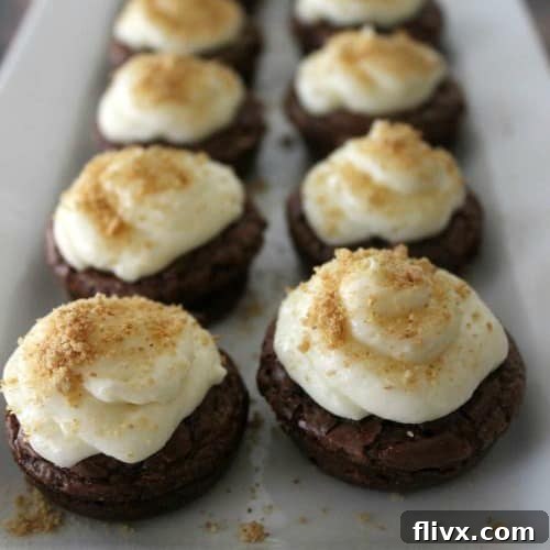 Mini S'mores Brownie Bites & Poppers with a creamy marshmallow creme topping.