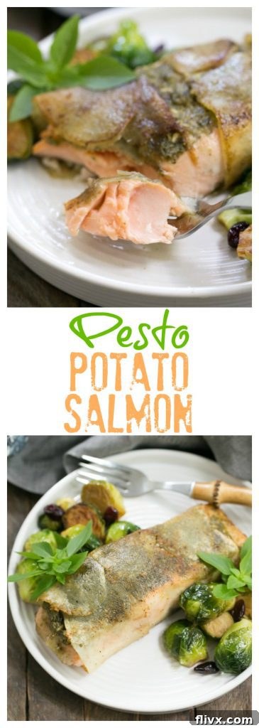 Potato Shingled Salmon | An elegant 4 ingredient recipe!