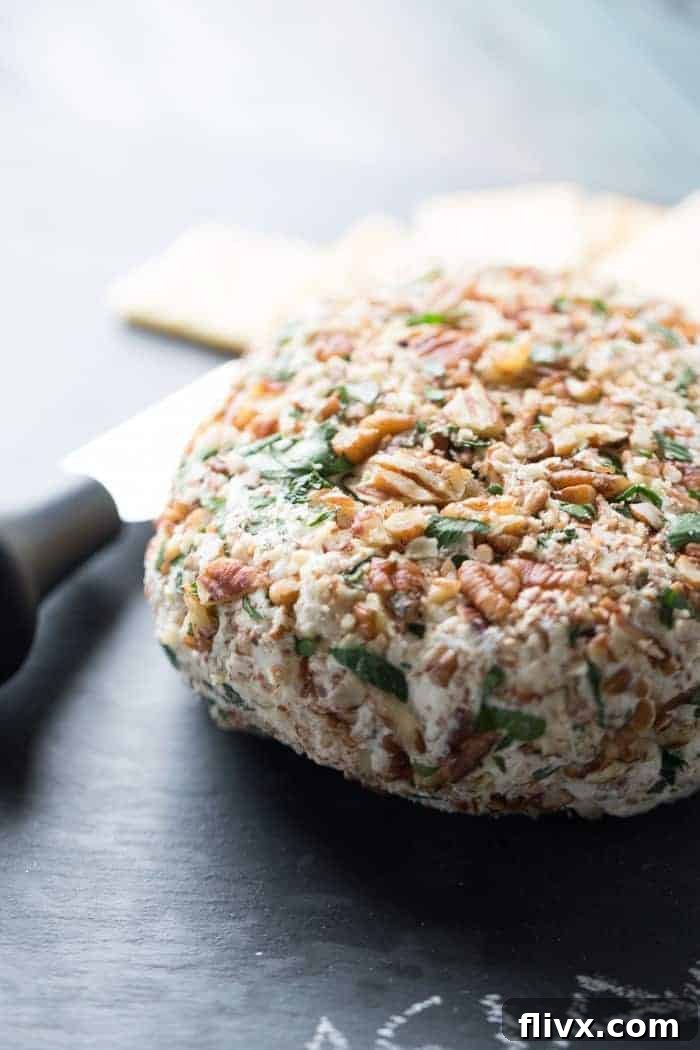 A savory Asiago Cheeseball, often coated with nuts or herbs, perfect for serving with crackers and crudités at a holiday party.