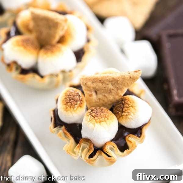 Mini S'mores Tarts close view of one tart topped with a shard of graham cracker and 3 toasted mini marshmallows