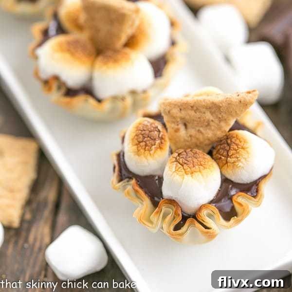 Mini S'mores Tarts | Easy, elegant and irresistible!