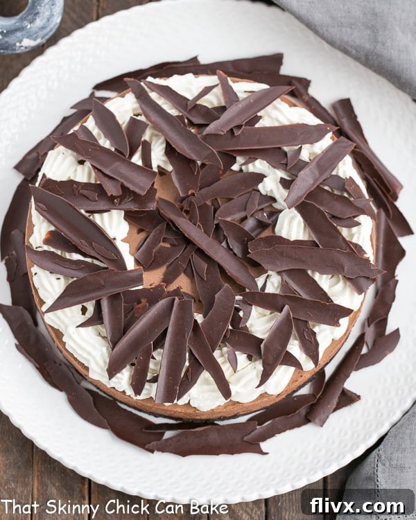 Chocolate Shards majestically topping an Easy Chocolate Mousse Cake on a pristine white dessert plate, showcasing a refined and inviting presentation.