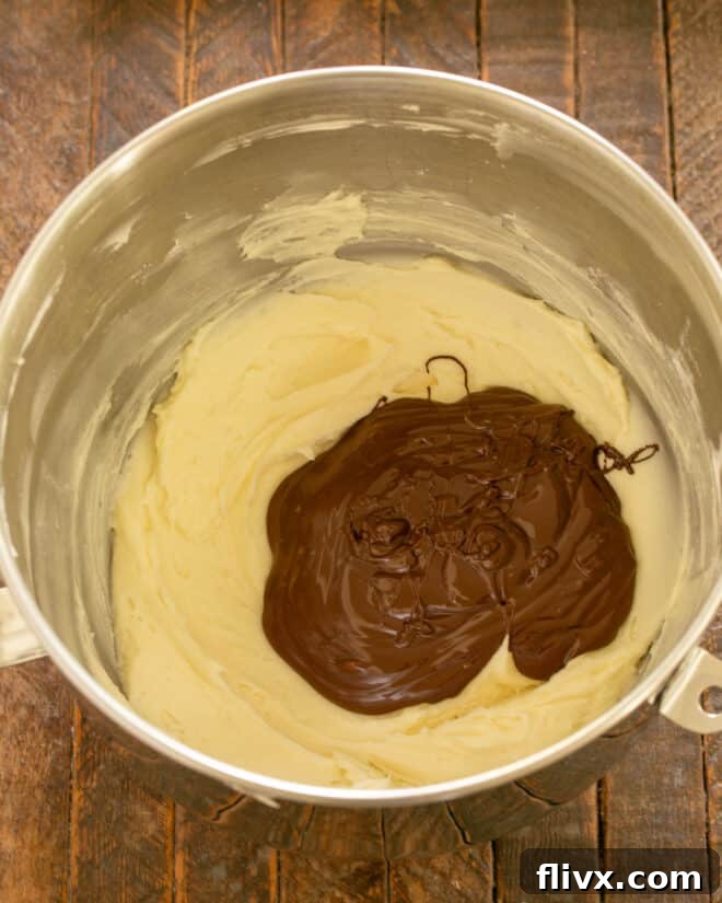 Vanilla and melted chocolate added to the butter and sugar mixture.