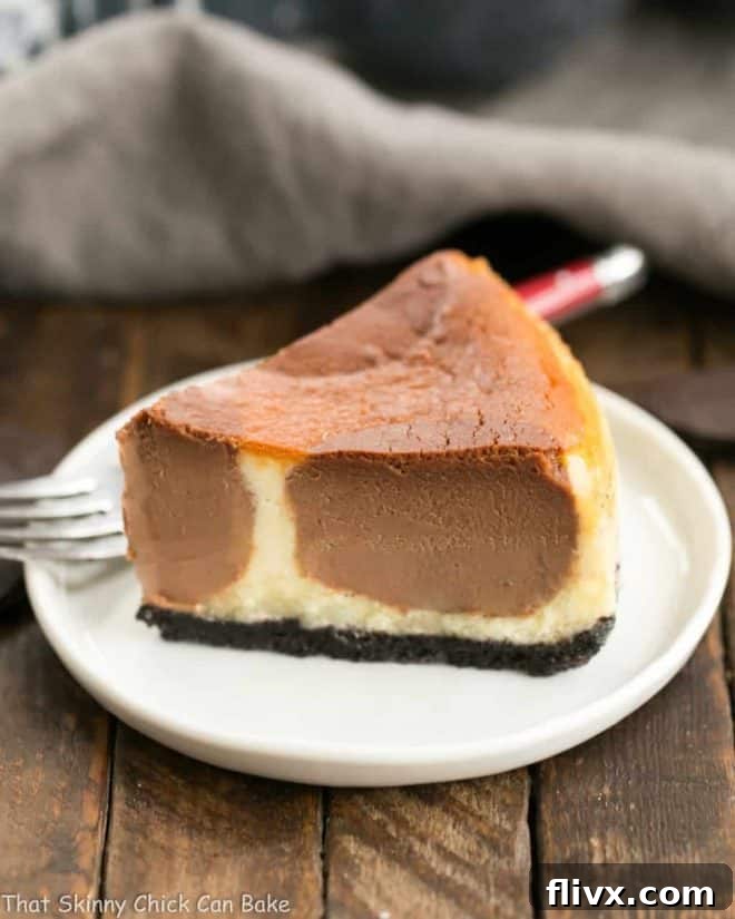 A beautifully presented Polka Dot Cheesecake on a pristine white ceramic dessert plate, showcasing its striking design and rich, creamy texture.