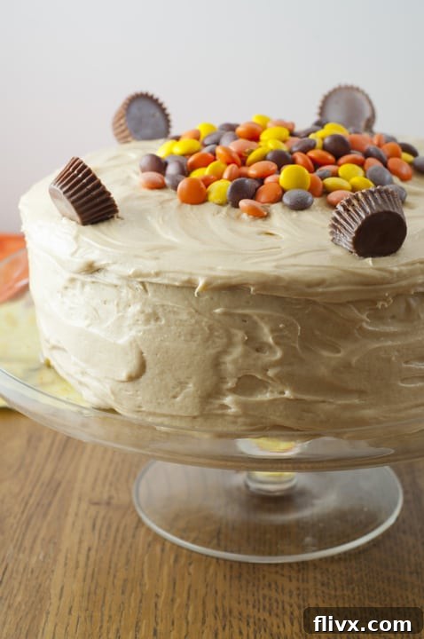 Reese's Double Peanut Butter Layered Cake topped with candies
