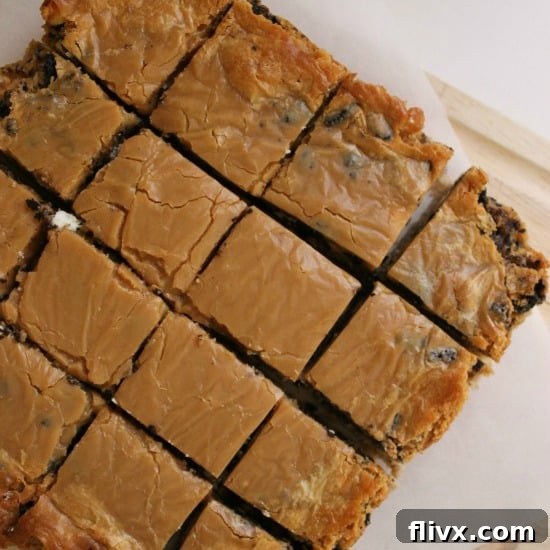 Peanut Butter Oreo Magic Bars with chocolate drizzle