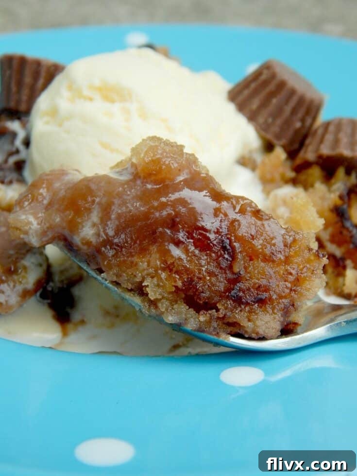 Crock Pot Peanut Butter Fudge Cake, gooey and warm