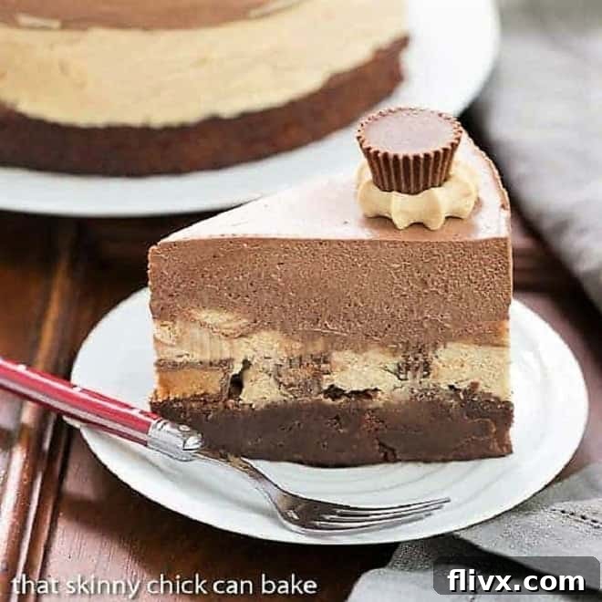 Peanut Butter Chocolate Mousse Cake layers