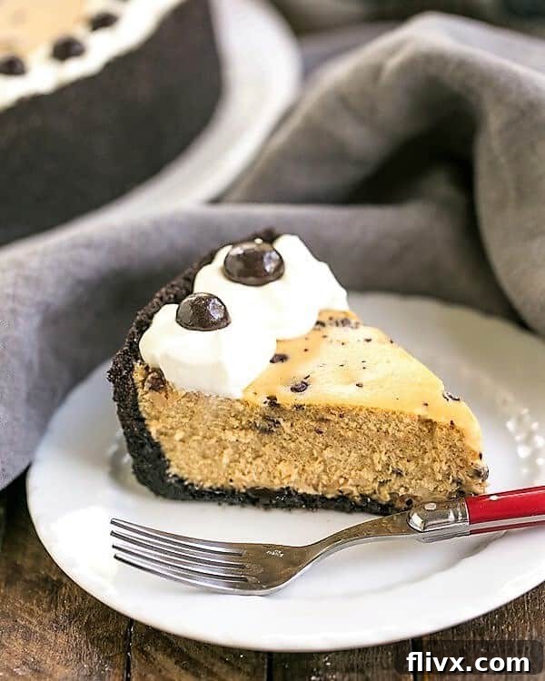 A perfectly sliced Mocha Cheesecake with Chocolate Chips, showcasing its creamy texture and chocolate speckles on a pristine white dessert plate.