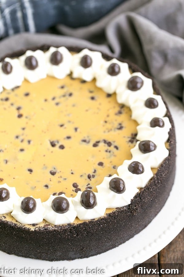A close-up view of a slice of Mocha Cheesecake with Chocolate Chips, highlighting its smooth, creamy filling and rich chocolate crust.