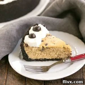Mocha Cheesecake Recipe with Chocolate Chips