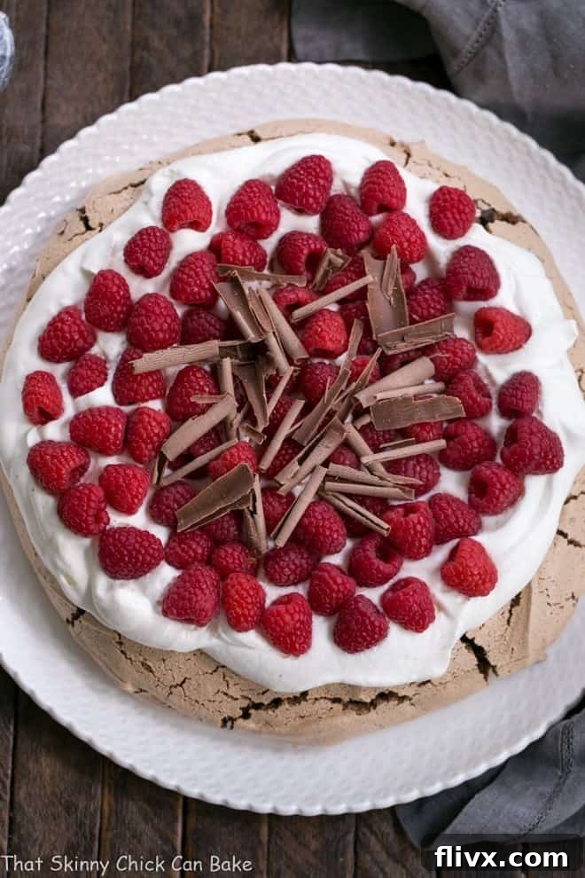 Overhead view of a beautifully assembled Chocolate Raspberry Pavlova, with a generous swirl of whipped cream, fresh raspberries, and chocolate shavings.