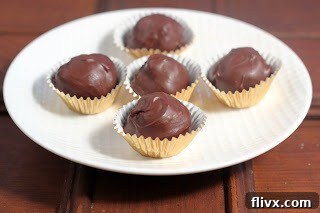 A pristine white plate showcasing a delightful array of homemade chocolate candies, including truffles and caramels, ready for a sweet indulgence.