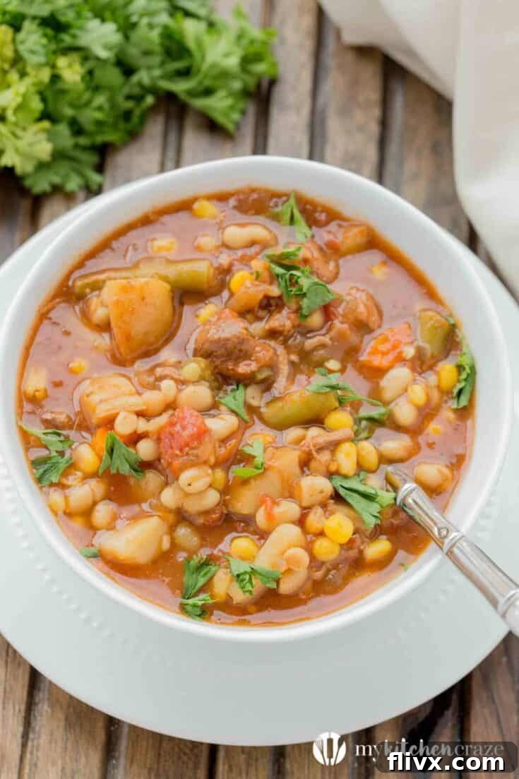 Slow Cooker Beef and Vegetable Soup