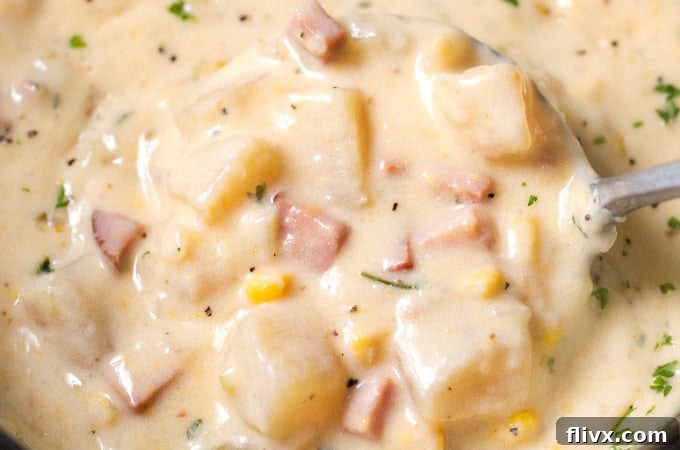 Slow Cooker Cheesy Ham Chowder