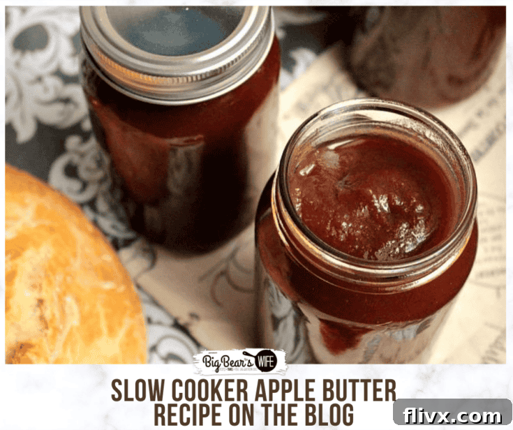 Slow Cooker Apple Butter (Refrigerated Version)